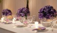 /album/galeria-de-fotos-casamento/bbbanner-322-jpg/